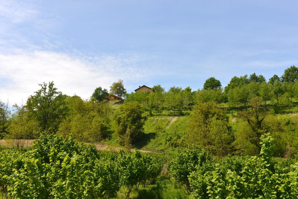 Casa Vacanze Il Brichet Mondovi Bilik gambar